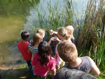 Exkursion zum Ziegeleiteich MartinLutherSchule Altenburg